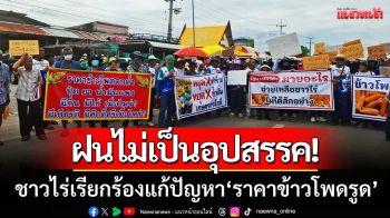 ฝนไม่เป็นอุปสรรค! ชาวไร่เพชรบูรณ์-รวมตัวเรียกร้องแก้ปัญหา ‘ราคาข้าวโพดตกต่ำ’