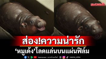 ส่อง!ความน่ารัก \'หมูเด้ง\'ครั้งแรกโลดแล่นบนแผ่นฟิล์ม