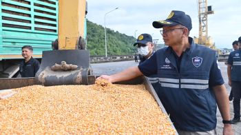 พาณิชย์ ตรวจเข้มข้าวโพดเลี้ยงสัตว์ ป้องกันลักลอบนำเข้า–กดราคารับซื้อ
