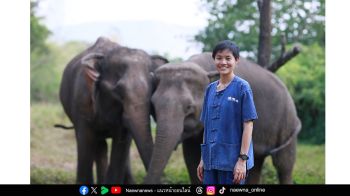 ตามรอยเท้าช้าง ที่ Elephant Forest พิษณุโลก  ปางช้างที่ขับเคลื่อนด้วยหัวใจ ของหญิงแกร่ง “ศิรอาภา ศิริวิริยะกุล”