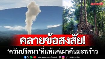 คลายข้อสงสัย! ‘ควันปริศนา’ เมืองเพชรบูรณ์-ที่แท้แค่เผาต้นมะพร้าว