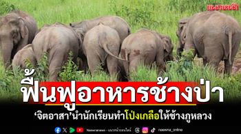 \'จิตอาสา\'นำนักเรียนภาคประชาชน ทำโป่งเกลือให้ช้างป่าภูหลวง