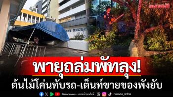 พายุถล่มพัทลุง! ต้นไม้โค่นทับรถ เต็นท์ขายของพังยับ น้ำท่วมฉับพลันทั่วเมือง