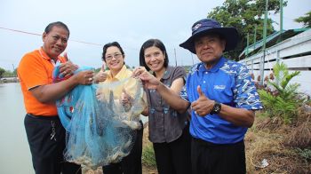 กรมประมงโชว์ความเป็นหนึ่ง\'กุ้งก้ามกรามไทย\' สัตว์น้ำเศรษฐกิจที่สำคัญ มูลค่าสูงกว่า8.7พันล้าน