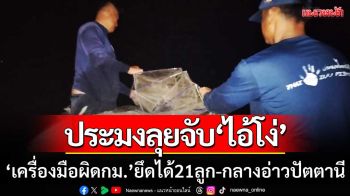 ไม่รอด! เจ้าหน้าที่ประมงปัตตานีลงพื้นที่ลุยจับ ‘ไอ้โง่’ ยึดได้ 21 ลูกกลางอ่าว