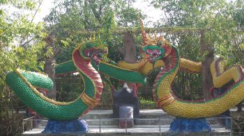 สกู๊ปพิเศษ : เปิด “วังพญานาค” ชมวิหารทิพย์อำนาจ ที่วัดสำราญนิเวศ จ.อำนาจเจริญ