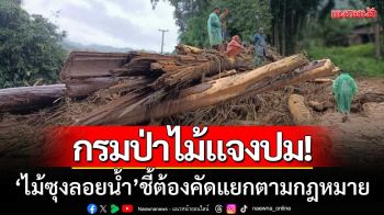 กรมป่าไม้แจงปม \'ไม้ซุงลอยน้ำ\' ที่แม่ฮ่องสอน-ชี้ต้องคัดแยกตามกฎหมาย