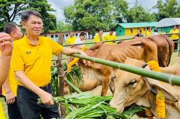 ‘ร้อยเอ็ด’ จัดพิธีมอบโค โครงการโค-กระบือเพื่อเกษตรกรตามพระราชดำริ