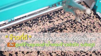 ข้าวที่ดี! ต้องเริ่มจากเมล็ดพันธุ์ที่ดีมีคุณภาพ กับ ศูนย์ข้าวชุมชนลำน้ำพรมข้าวผักปัง จ.ชัยภูมิ