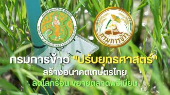 กรมการข้าว \'ปรับยุทธศาสตร์\' สร้างอนาคตเกษตรไทย ลดโลกร้อน ขยายตลาดพรีเมียม