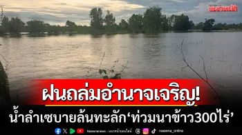 ฝนถล่มอำนาจเจริญ! ‘น้ำท่วมนาข้าว300ไร่’ ขณะที่น้ำลำเซบายเพิ่มสูงต่อเนื่อง