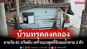 ระทึก! บ้านไม้ทรุดตัวลงคลองทั้งหลังยายวัย 61 หวิดดับ เศร้าแมวสุดที่รัก 2 ตัวจมน้ำตาย