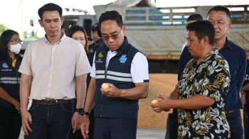 ‘DIT’ ติดตามราคารับซื้อข้าวโพดเลี้ยงสัตว์พิษณุโลก