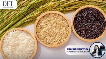 คต. บุกงานแสดงสินค้า China – ASEAN Expo ดันยอดส่งออกข้าวไทยไปจีน