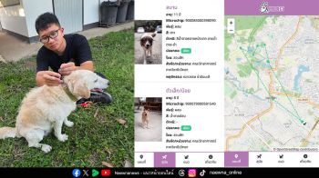 มช. พัฒนาระบบ “i-Tracker: AirTag” ติดตามสุนัขจรในพื้นที่มหาวิทยาลัย เสริมแนวคิดสุนัขชุมชน อยู่ร่วมกันอย่างยั่งยืน
