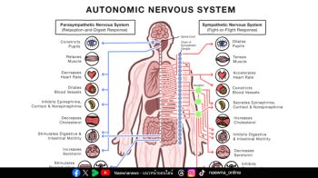 ท้องอืด ลมในท้องเยอะ อาจเกิดจากโครงสร้างร่างกายที่ไม่สมดุล