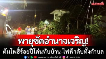 พายุ ‘รากาซา’ ซัดอำนาจเจริญ! ต้นโพธิ์ร้อยปีหักโค่นทับบ้านเรือน-ไฟฟ้าดับทั้งตำบล