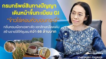 กรมทรัพย์สินทางปัญญา เดินหน้าขึ้นทะเบียน GI “ข้าวไร่หอมหัวบอนกระบี่