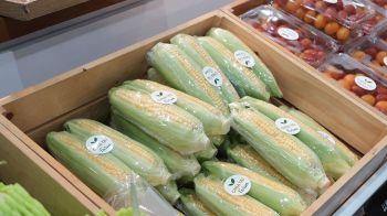 เจียไต๋ ชวนสัมผัสนวัตกรรมการเกษตร ชิมช็อปผลผลิตสดใหม่ในงาน Farm Expo 2025