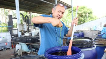 สกู๊ปพิเศษ : นักวิจัย มข.เปลี่ยนเศษปลาเหลือทิ้ง สร้างนวัตกรรม  “BIONOURIX” สารเสริมประสิทธิภาพพืช