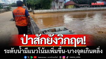 ป่าสักยังวิกฤต! \'ระดับน้ำเพชรบูรณ์\' มีแนวโน้มเพิ่มขึ้น-เร่งติดตั้งเครื่องผลักดันน้ำ