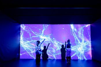 NSM ชวนชมนิทรรศการ ‘Brain Inside Out’ ไขความลับของสมองทุกช่วงวัย