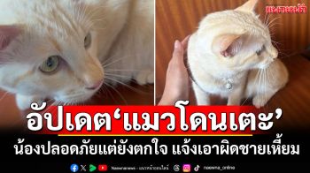 อัปเดต\'แมวโดนเตะ\' น้องปลอดภัยแต่ยังตกใจ แจ้งเอาผิดชายเหี้ยม!