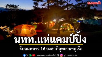 เลยอากาศดี! นักท่องเที่ยวแห่แคมป์ปิ้ง รับลมหนาว16องศาที่\'อุทยานฯภูเรือ\'
