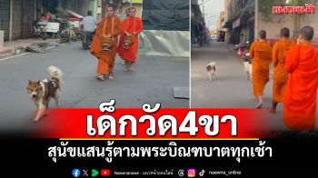 เด็กวัด4ขา! สุนัขแสนรู้ ตามพระบิณฑบาตทุกเช้า