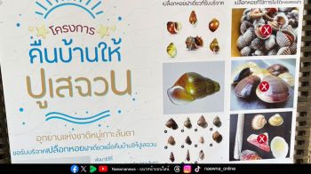 ตะลอนเที่ยว : คืนบ้านให้ปูเสฉวน