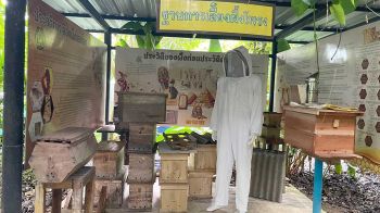 วิสาหกิจชุมชนเลี้ยงผึ้งโพรงไทยธรรมชาติบ้านไทรห้อง ต่อยอดอาชีพเสริม ปั้นรายได้ชุมชนอย่างยั่งยืน