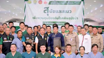 กรมปศุสัตว์จัดโครงการเร่งรัดผ่าตัดทำหมันสุนัขและแมว เพื่อควบคุมป้องกันโรคพิษสุนัขบ้าในพื้นที่เสี่ยง
