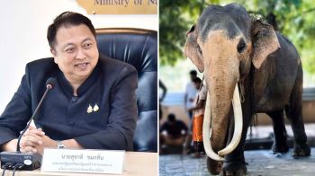 \'สุชาติ\'นั่งหัวโต๊ะถกแนวทาง เจรจานำ\'ช้างไทย\'ในศรีลังกา กลับประเทศให้เร็วที่สุด