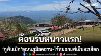 หนาวจริงไม่จกตา! ‘ภูทับเบิก’ อุณหภูมิลดฮวบ-ไร้หมอกแต่เย็นยะเยือก