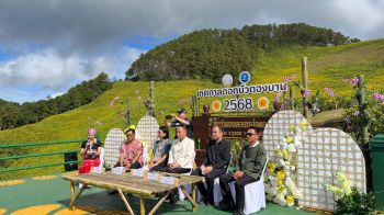 แม่ฮ่องสอนเตรียมเปิดเทศกาล \'ดอกบัวตองบาน\' ดอยแม่อูคออย่างเป็นทางการ 11 พ.ย.นี้