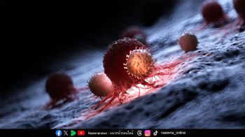 รู้จัก ‘NK Cells Therapy’ เพชฌฆาตจัดการมะเร็ง