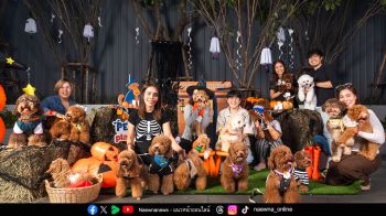 ‘เดอะ ปาร์ค’ ปลุกสีสัน Halloween กับเหล่าเพื่อนซี้สี่ขาในงาน PET PARQ PLAY DAY VOL.3