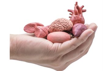 บทความพิเศษ : ‘ดอกไม้แห่งความดี’ วิธีบริจาคหัวใจให้กาชาด