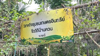 วิสาหกิจชุมชนชีววิถีเกษตรอินทรีย์บ้านควน และกิจการเพื่อสังคมชีววิถีบ้านคลองท่อมใต้ จังหวัดกระบี่