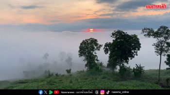 เตือนไทยหนาววูบ อุณหภูมิลด4-7องศา รมว.เกษตรคาดน้ำลด