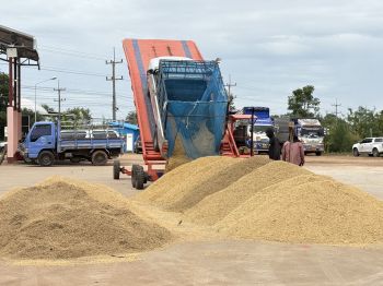 ตลาดข้าวคึกคักราคาเด้งรับมาตรการนบข.