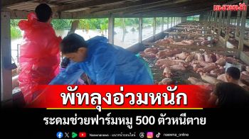 พัทลุงอ่วมหนัก! น้ำป่าเขาบรรทัดซัดบ้านพังทั้งหลัง ถนนเพชรเกษมตัดขาด