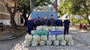 \'ศุลกากรภาค 2\'ยึด\'มะม่วงสด\'ลักลอบนำเข้ากว่า 13 ตัน