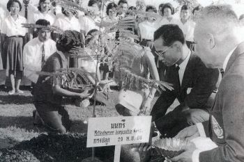 29 พฤศจิกายน สำนึกในพระมหากรุณาธิคุณล้นเกล้าล้นกระหม่อม ‘62 ปี นนทรีทรงปลูก ดนตรีทรงโปรด’ สืบสานวันทรงดนตรี