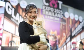 เริ่มแล้ว Cat Expo Thailand 2025 วันแรก