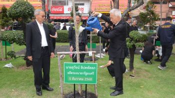 โคราชรวมพลัง ‘ปลูกต้นสาธร’ เฉลิมพระเกียรติ รัชกาลที่ 9