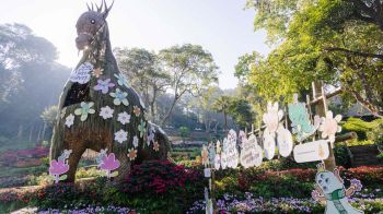 เทศกาล\'สีสันแห่งดอยตุง ครั้งที่ 12\'เปิดฉากอย่างยิ่งใหญ่