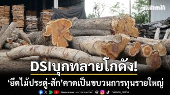 ดีเอสไอทลายโกดัง! ‘ยึดไม้ประดู่-สักล็อตใหญ่’ คาดเป็นขบวนการทุนรายใหญ่