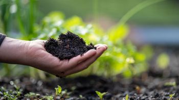 เปิดขุมทรัพย์ เกษตรกรรมเชิงฟื้นฟู โอกาสสินค้าไทยในตลาดยั่งยืนโลก