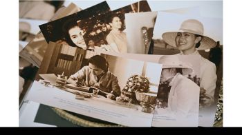 ชมนิทรรศการ \